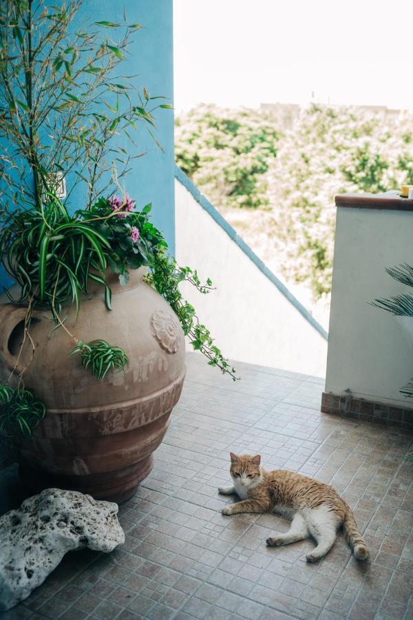 Bed and Breakfast Juniper Bay Portoscuso Esterno foto